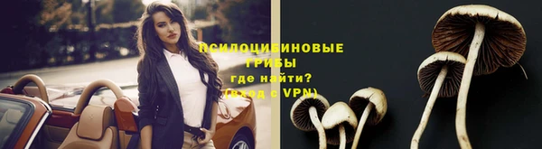 хмурый Богородицк