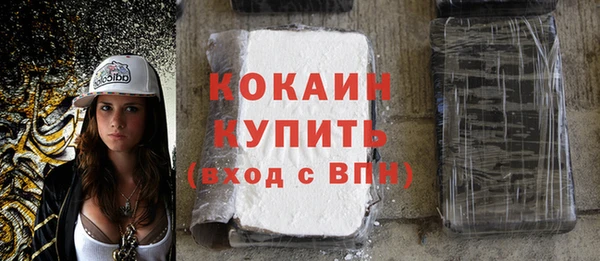 спиды Богородск